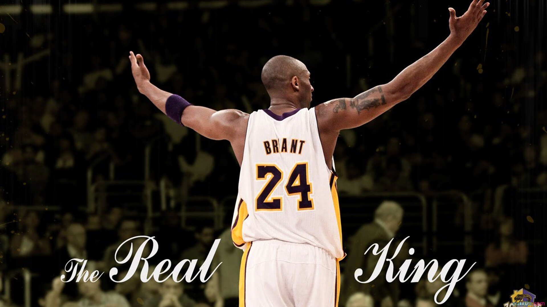 体育新闻中心推动体育新媒体多渠道融合内容战略，体育类新媒体